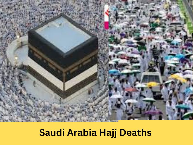 Saudi Arabia Hajj Deaths